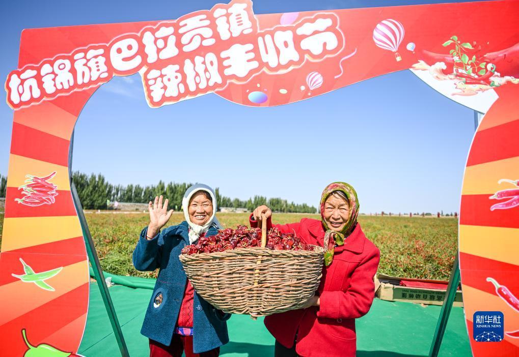 打鱼上下分